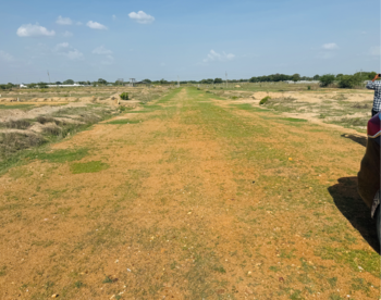 Plot for Sale in Shadnagar, Hyderabad