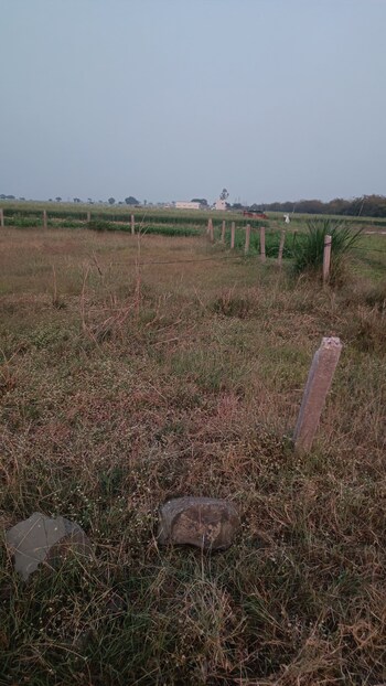 Plot for Sale in Rambag, Indore