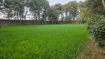 Plot for Sale in Dholera, Ahmedabad