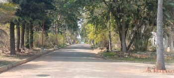 Plot for Sale in Doddaballapur Road, Bangalore