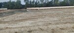 1820 Sq.Ft. Plot in DLF Garden City