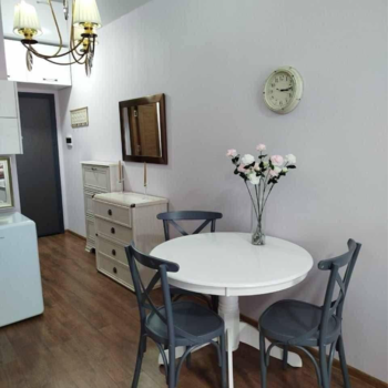 Studio Flat for Sale in Baner, Pune