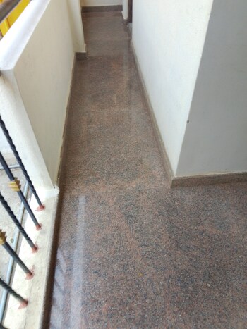 1 BHK Builder Floor for Rent in Ejipura, Bangalore