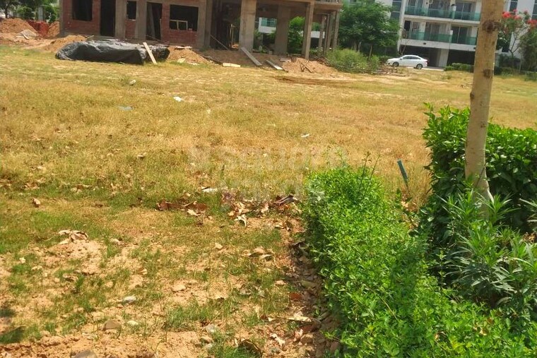 Garden, bharat colony  128 Sq.Yd. Plot In Bharat Colony Faridabad 9988392