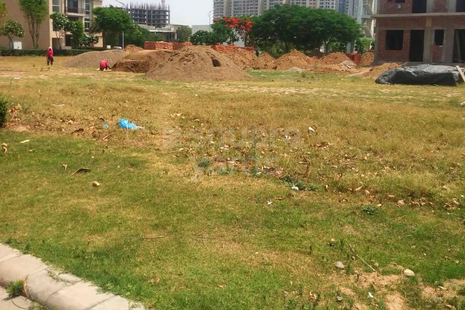 Plot For Sale in BHARAT COLONY