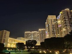 3 BHK + Servant Room Apartment For Rent in DLF Park Place