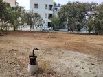 1202 Sq.Ft. Plot in Banashankari 6th Stage