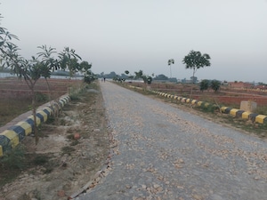 Plot Area in  Plot at Kalli Paschim – for Sale
