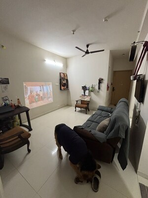 2 BHK Apartment For Rent in Godrej Hillside 2, Mahalunge