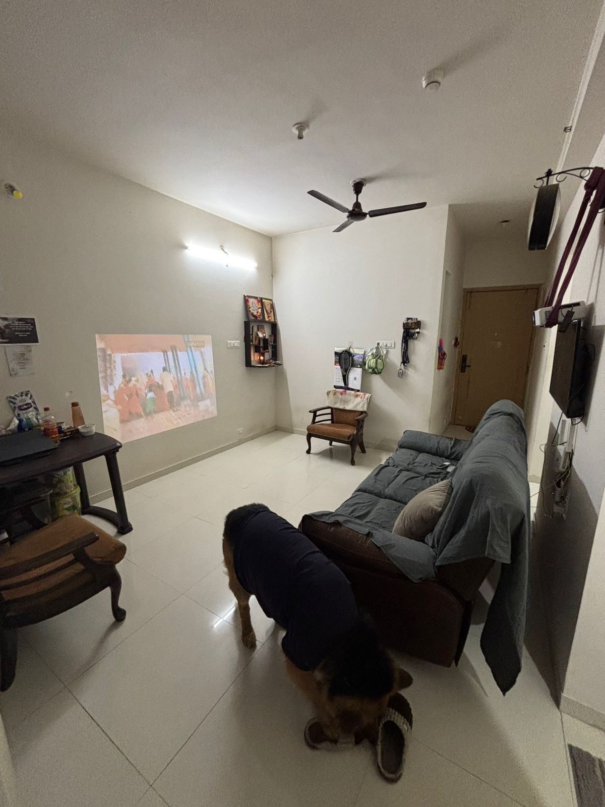 2 BHK Apartment For Rent in Godrej Hillside 2