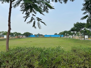 Plot Area in  Plot at Parklands, Sector 85 – for Sale