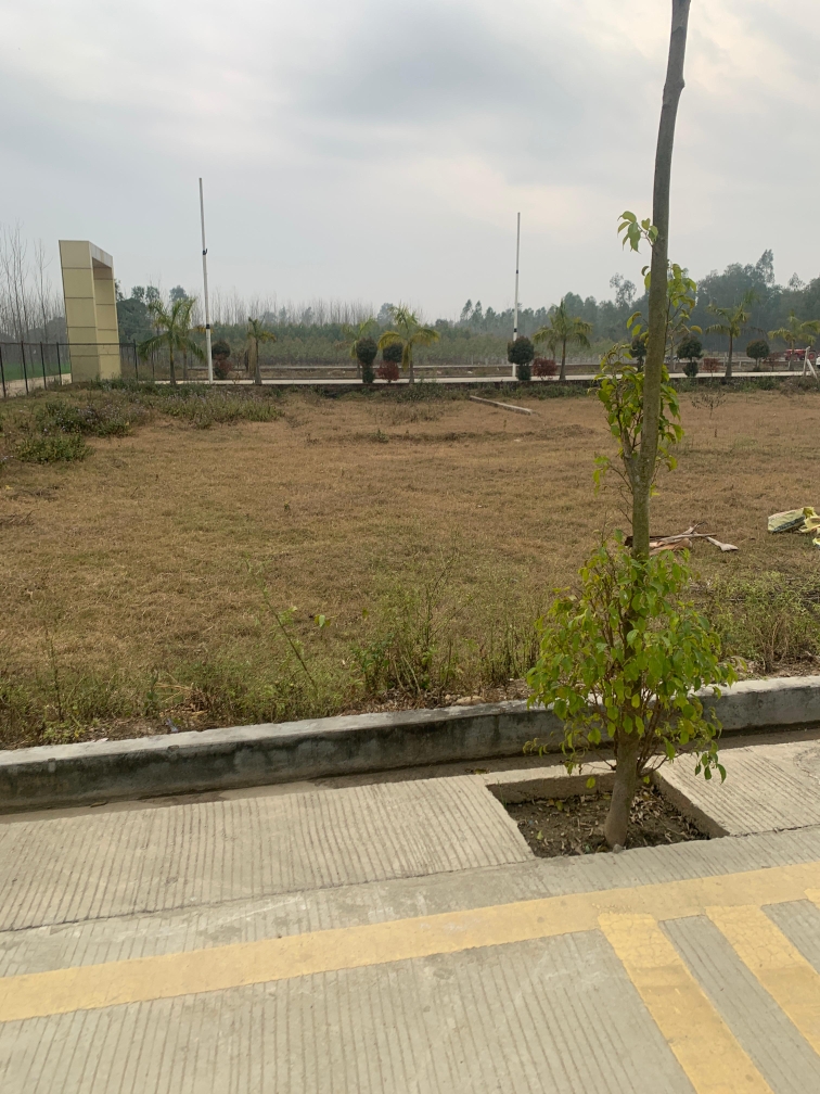 Plot For Sale in Niranjanpur