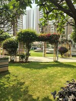 3 BHK + Pooja Room,Study Room 1834 Sq.Ft. Apartment in My Home Avatar