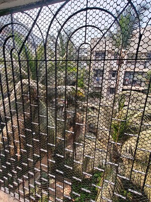 1 BHK Apartment – Map Location View at Anita Nagar Chs, Kandivali East - for Rent