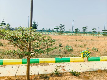Plot for Sale in Hoskote, Bangalore