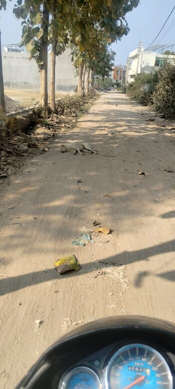 Plot for Sale in Amausi, Lucknow