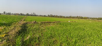 Plot for Sale in Ramnagar, Nainital