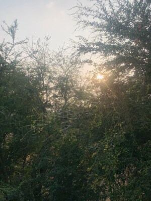 1 BHK Independent House – Garden View at Koregaon Park Annexe - for Rent