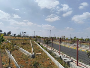 Plot Area in  Plot at Hoskote – for Sale