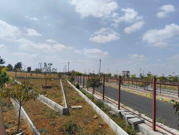 Plot Area in  Plot at Hoskote – for Sale