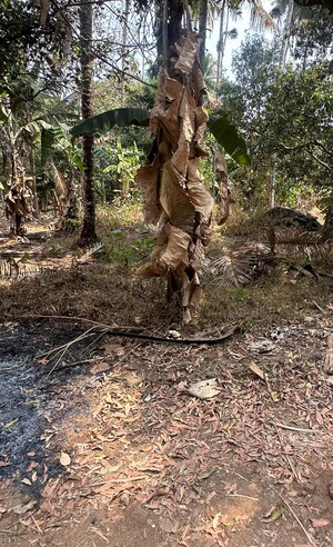 Plot Area in  Plot at Kolazhy – for Sale