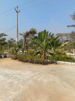  Plot For Sale in Vasavi Green Leaf, Shamirpet