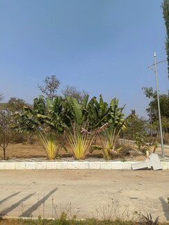 Plot For Sale in Vasavi Green Leaf