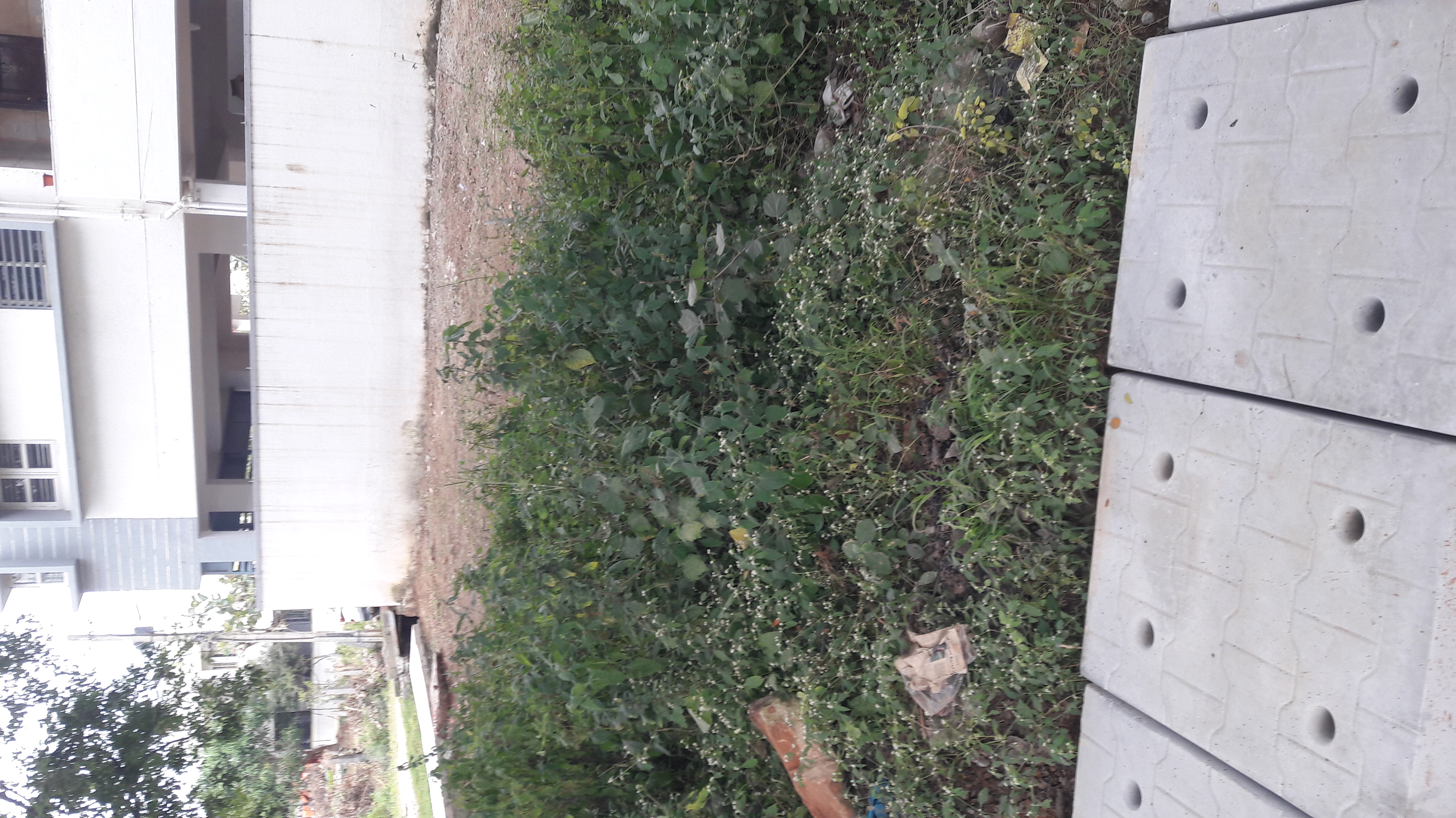 Plot For Sale in Kodigehalli