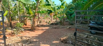 Plot Area in  Plot at Cheroor – for Sale