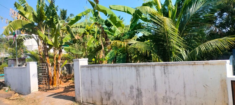 undefined, cheroor  3703 Sq.Ft. Plot In Cheroor Thrissur 10015786