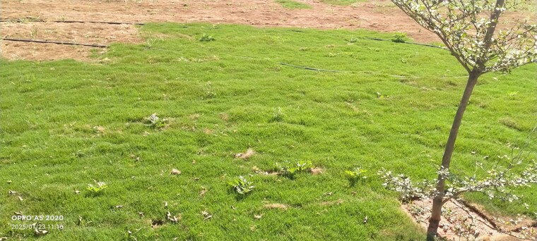 Garden, kadthal  1000 Sq.Ft. Plot In Kadthal Hyderabad 10015853