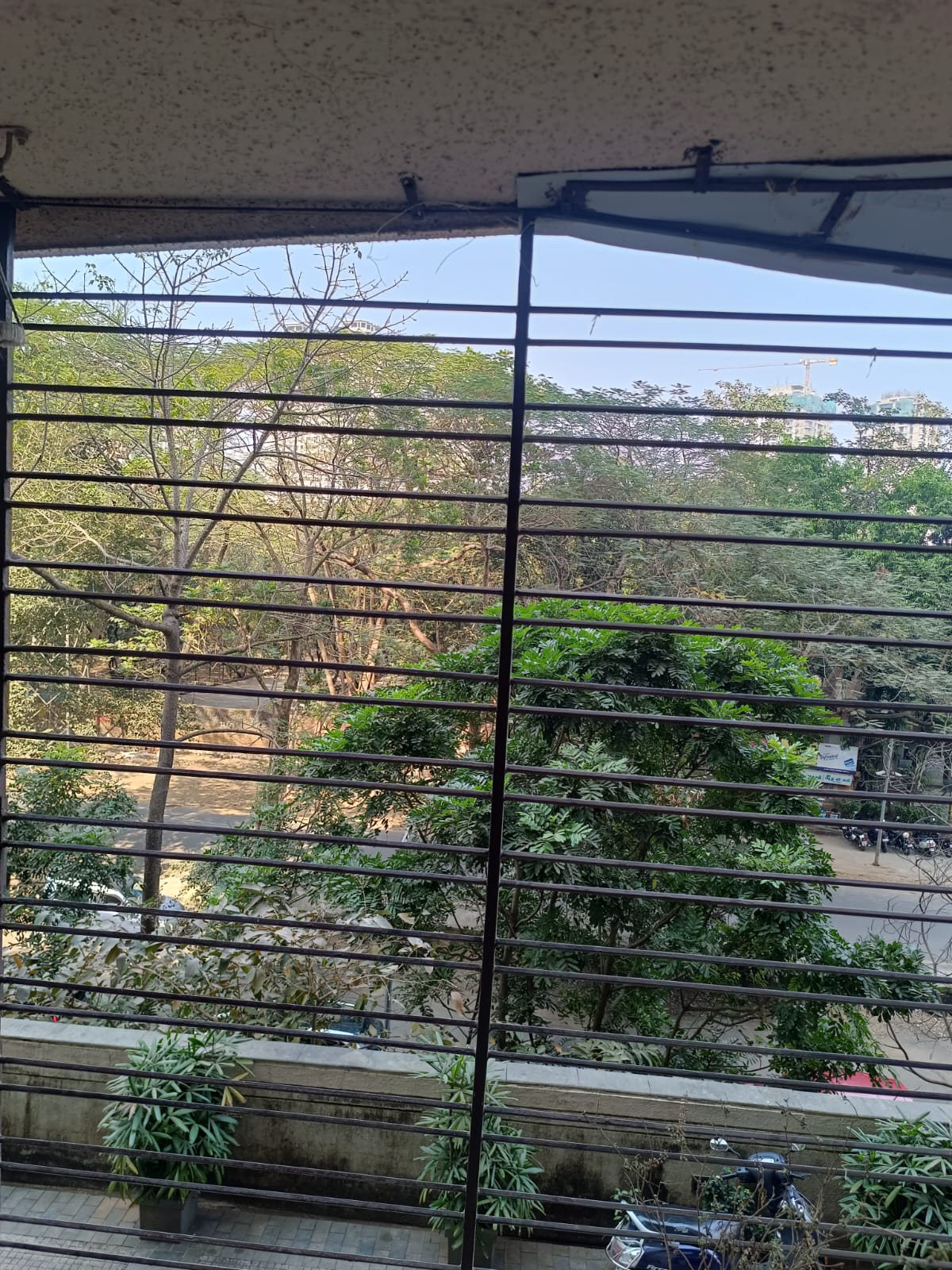 2 BHK + Pooja Room Apartment For Rent in Kalpataru Hills Phase II