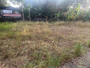 Plot Area in  Plot at Mundoor – for Sale