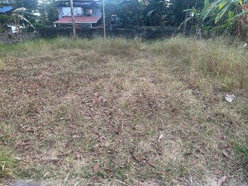 Plot Area in  Plot at Mundoor – for Sale