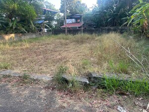 Plot Area in  Plot at Mundoor – for Sale
