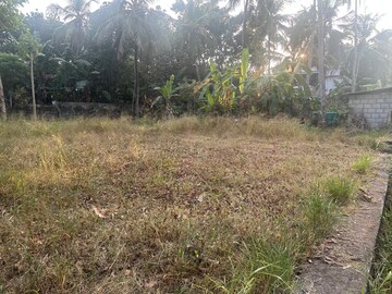 Plot Area in  Plot at Mundoor – for Sale
