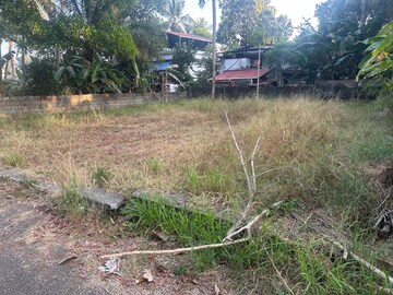 Plot Area in  Plot at Mundoor – for Sale