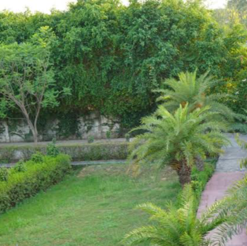  Plot – Garden View at Sidipur - for Sale