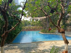 1 BHK Apartment For Rent in Ashok Towers