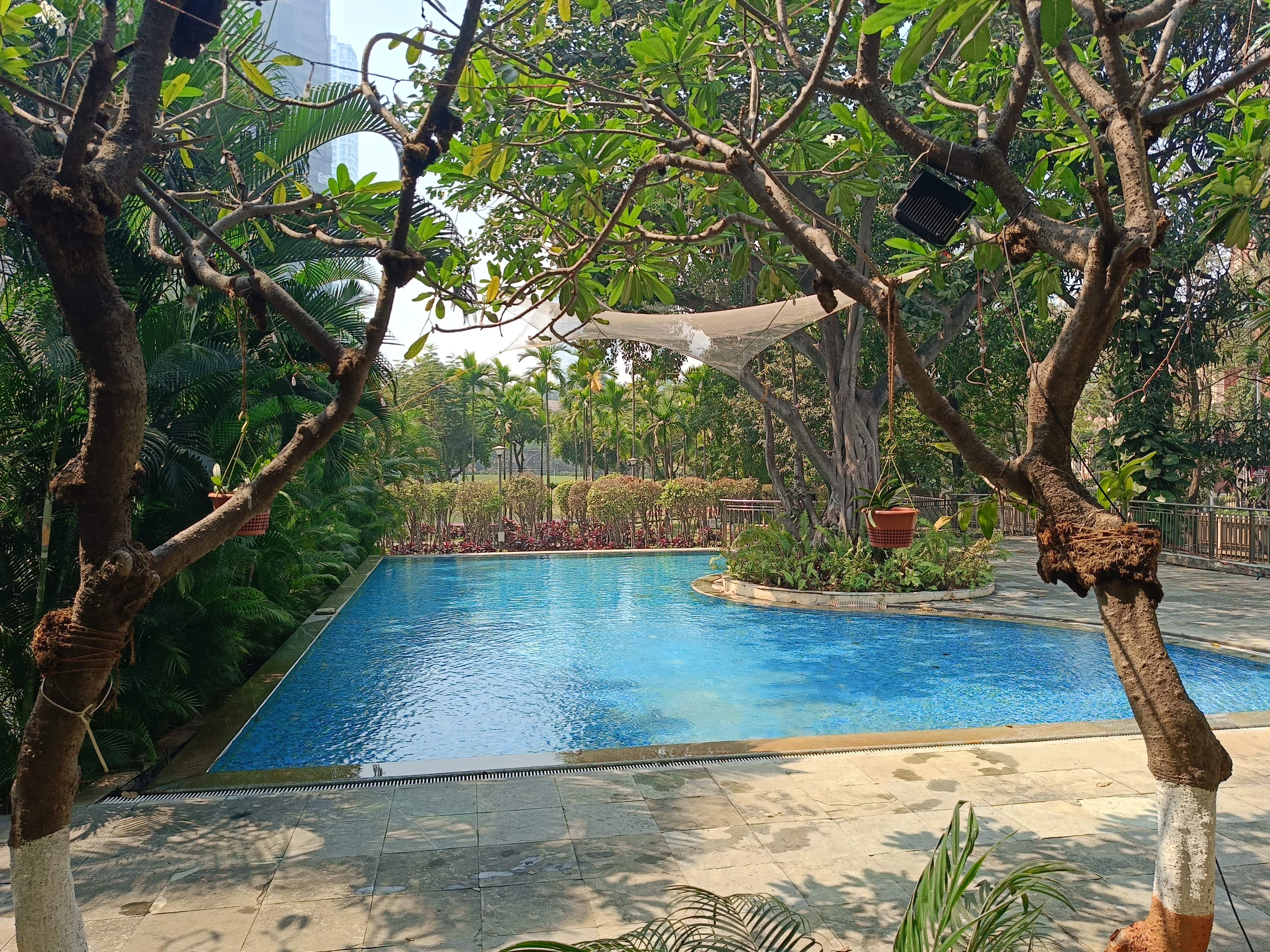 1 BHK Apartment For Rent in Ashok Towers