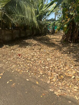 Plot Area in  Plot at Pamboor – for Sale