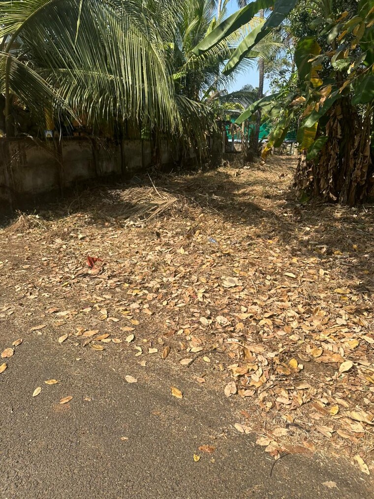 undefined, pamboor  3267 Sq.Ft. Plot In Pamboor Thrissur 10017013
