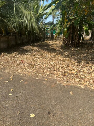 Plot Area in  Plot at Pamboor – for Sale