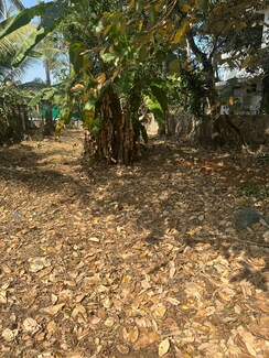 Plot For Sale in Pamboor