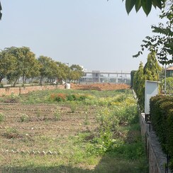 Plot For Sale in Rambha Corona Greens