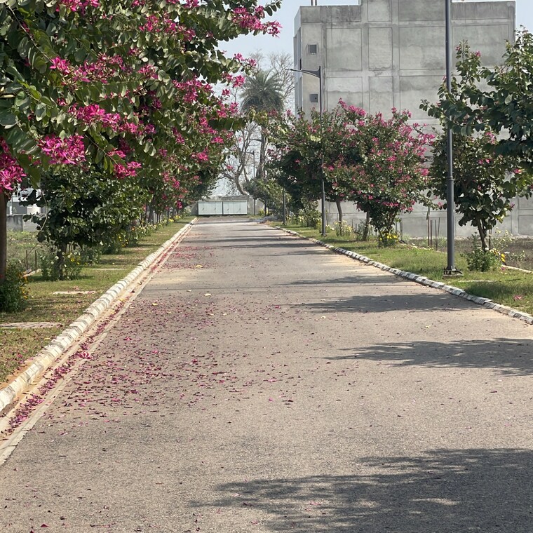 Exterior View, rambha-corona-greens  113 Sq.Yd. Plot In Sohna Sector 5 Gurgaon 10017403