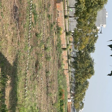 Plot Area in  Plot at Rambha Corona Greens, Sohna Sector 5 – for Sale