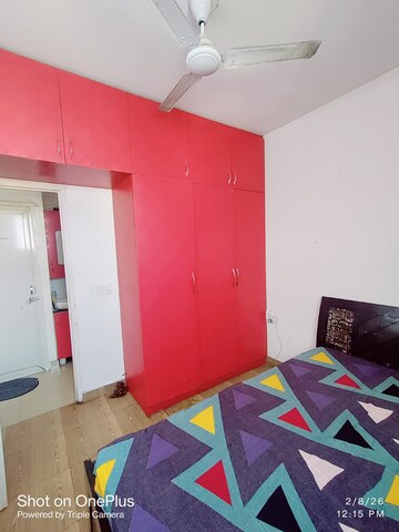 Master Bedroom in 2 BHK Apartment at Tulip Lemon, Sector 69 – for Rent