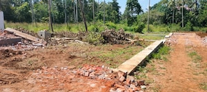 Plot Area in  Plot at Mannuthy – for Sale
