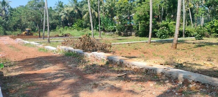 undefined, mannuthy  4356 Sq.Ft. Plot In Mannuthy Thrissur 10017801
